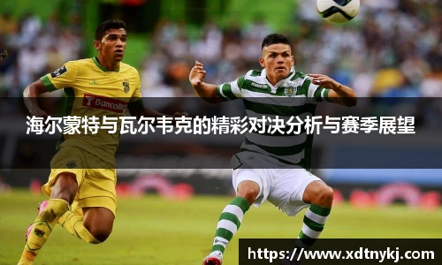 海尔蒙特与瓦尔韦克的精彩对决分析与赛季展望